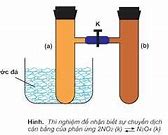 Sự Chuyển Dịch Cân Bằng Là Gì