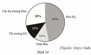 Thị Trường Xuất Khẩu Dệt May Của Việt Nam