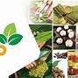 Tiêu Chuẩn Sản Phẩm Ocop